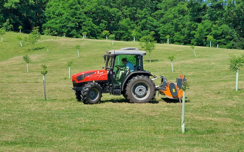 Malčiranje trajnih nasada – mehaničko uništavanje korova unutar redova trajnih nasada